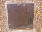 Fichier:180px-Odomez - Avaleresse Peau de Loup(2).jpg