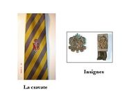 Fichier:180px-Insignes et cravate Royés.jpg