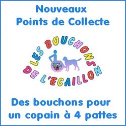 Fichier:250px-Les bouchons de l'Écaillon.jpeg