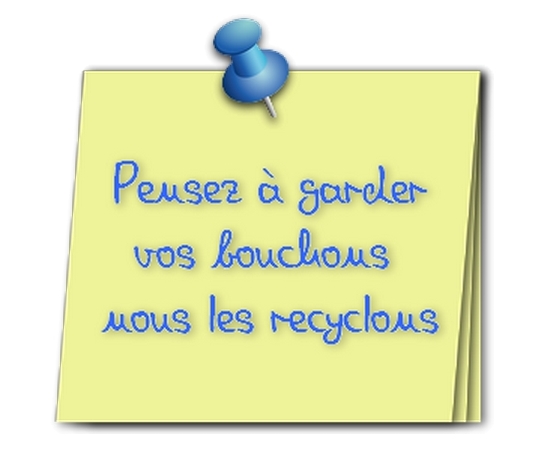 Fichier:Collecte des bouchons.jpg