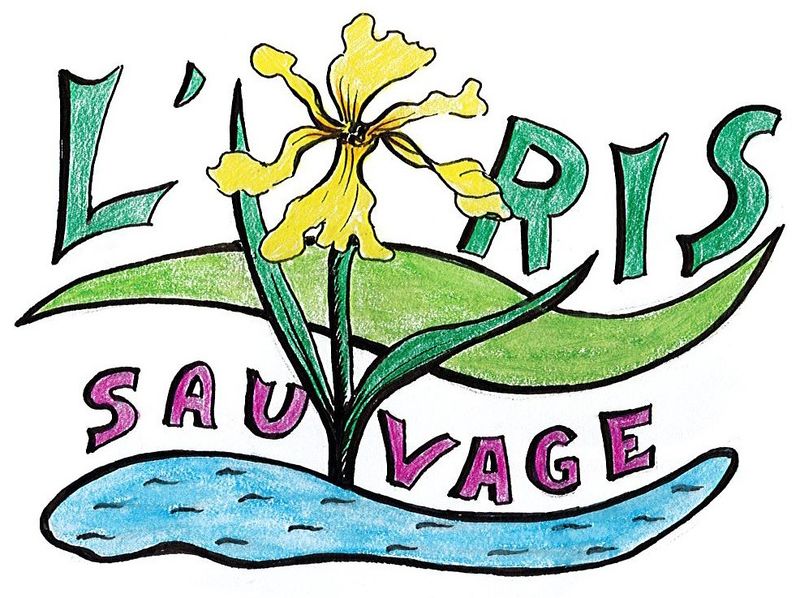 Fichier:Logo-Iris sauvage.jpg