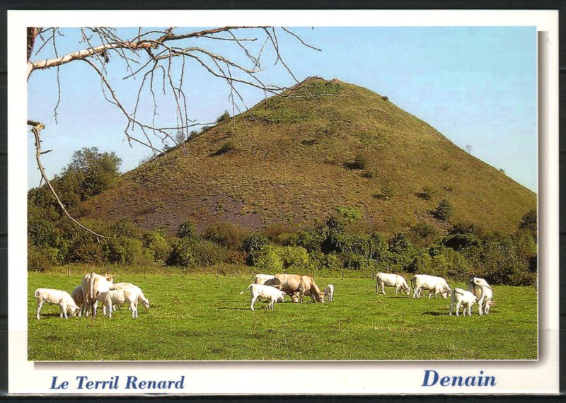 Fichier:Terril Renard.jpg