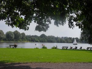 Etang du vignoble.JPG
