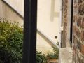 Fresnes sur Escaut - Puits Jeanne Colard n3.jpg