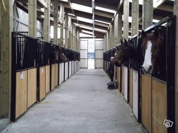 Escautpont-centre equestre marais.jpg