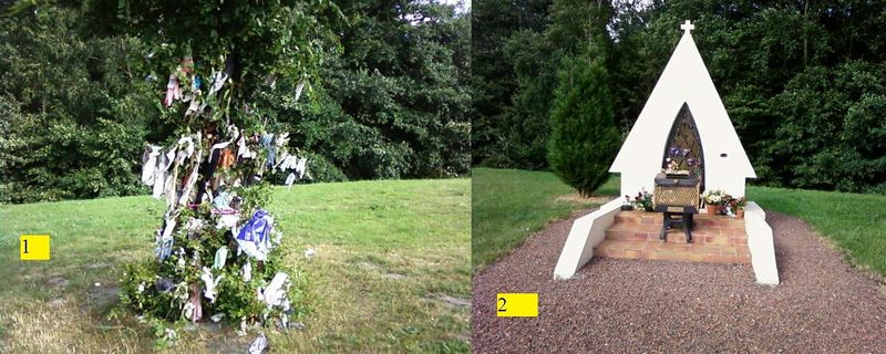 Fichier:Hasnon-Arbre a loques.jpg
