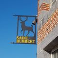 Maroilles-Brasserie Saint-Humbert.jpg