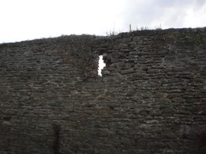 Condé sur Escaut - Archère(2).JPG