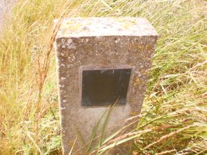 Odomez - Avaleresse Peau de Loup.jpg