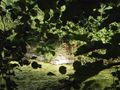 Vignette pour la version du 24 janvier 2017 à 21:39