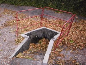 Bruille Saint Amand - Source.JPG