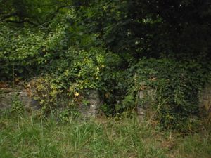 Condé sur Escaut - Archère(3).JPG