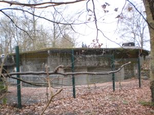 CasemateDuMontDesBruyères.JPG