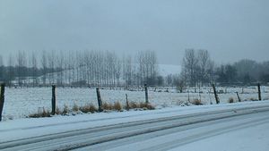 Terril-new2005.jpg