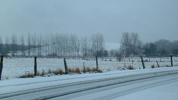 Terril-new2005.jpg
