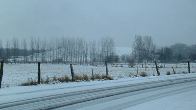 Terril-new2005.jpg