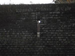 Condé sur Escaut - Meurtrière à la Carnot.JPG